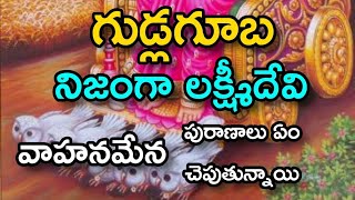 గుడ్లగూబ నిజంగా లక్ష్మీదేవి వాహనమేన | Telugu Life Facts