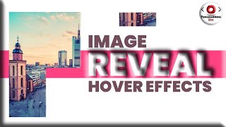 Image Reveal Hover Effects using HTML & CSS | Programming Eye