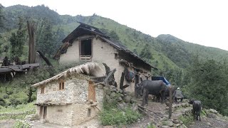 Capturing the Everyday Moments of Nepali Mountain Village Life in the Rainy Season || IamSuman