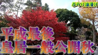 江戸城の遺構ガッツリ丸見え！期間限定2018秋皇居一般公開高画質散策！【歴史散策バラエティー】ねんぐシューターのぶらり浪漫汁21城跡