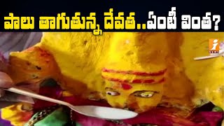 పాలు తాగుతున్న పార్వతీదేవి | Goddess Parvati Devi Idol Drinks Milk in Siddipet | iNews