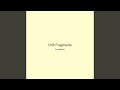 Drift Fragments