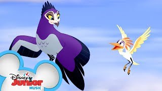 Height and Sight | Music Video | The Lion Guard | Disney Junior