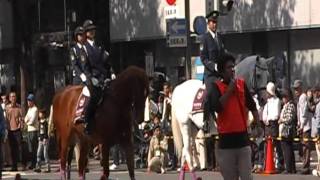 第26回国民文化祭・京都2011 ｵｰﾌﾟﾆﾝｸﾞﾊﾟﾚｰﾄﾞ