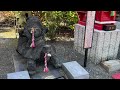 2025年1月25日　山口県岩国市御朱印巡り今年の干支を祀る「白蛇神社」と「白崎八幡宮」へ巡り山賊へ！