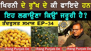 ਅਲੋਪ ਹੋ ਰਹੇ ਖ਼ਿਰਨੀ ਦੇ ਰੁੱਖ ਦੇ ਫਾਇਦੇ ਜਾਣੋ। ਤੰਦਰੁਸਤ ਸਮਾਜ -34. Dharma Haryau। Dr Rajneesh Varma।