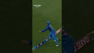 india vs new zealand live match | india vs new zealand #cricket #indvsnewzeland #livematch