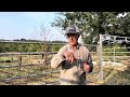 greg explains the benefits of hair sheep as weed eaters for your farm.