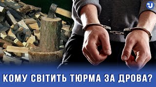 Закон “про дрова” боротиметься проти “чорних лісників”, які крадуть ліс, – Камельчук