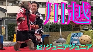 Jr.2 / ジュニアジュニア at 川越 〜猿回し〜 日光さる軍団 ①