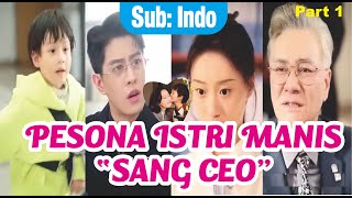 Pesona Istri Manis Sang CEO Part 1 | Sub Indo | Drama China