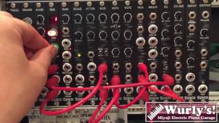 Erica Synths Pico SEQ and more【Wurly's!モジュラーシンセ動画】