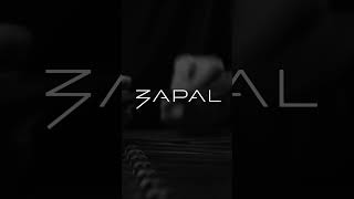 ZAPAL - Семантика. Фрагмент 2✨