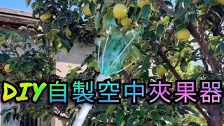 DIY空中採果器,利用寶特瓶、幾根棉繩跟不要的管子、竿子,5分鐘輕鬆完成。