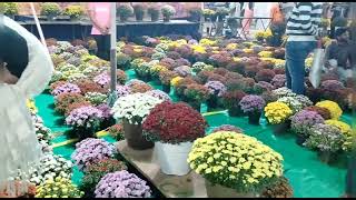 #Is it #worth visiting #13th grand nursery mela at #people'splaza #garden #gardening #plants