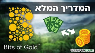 ביטס אוף גולד - המדריך המלא לקנייה ומכירה של קריפטו בברוקר הישראלי לשנת 2024