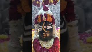 Mahadev ka singar #jaibholenaath #baijnathtemple #budheshwar #mahadev #mahakal #kashivishwanath