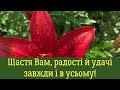 Привітання з Днем Медичного Працівника Вітання на День Медика 27 липня День Медичного працівника