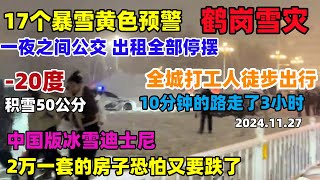 冰雪迪士尼鹤岗雪灾！17个暴雪黄色预警，一夜之间公交出租全部停摆，积雪达到50公分，全城打工人徒步出行，10分钟的路程走了3小时，身上全是冰溜子根本走不动#东北#暴雪#天气#鹤岗#旅游#经济#中国