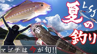 【夏の釣り】巻くだけで釣れるあのルアーで旬のマゴチがイチコロでした。【ショアジギング】