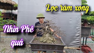 SH.7700. Lọc lá phô Răm nhìn phê quá các bác. Đth liên hệ 0969.114.131.