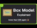 CSS Box Model: Stop Fighting CSS, Start Understanding It