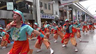 au  2017高知よさこい祭り本祭1日目　帯屋町筋演舞場　４K　2017 8 10