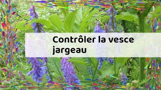 Contrôler la vesce jargeau