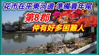 第8郡 花市在平東河邊 準備賣年尾 第八郡仲有好多困難人 越南胡志明市。粵語 SAIGON QUAN8