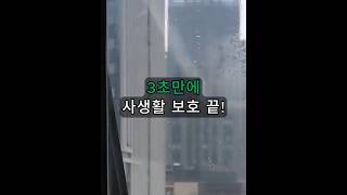 3초만에 사생활 보호 끝!