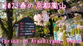 2021年4月8日(木)春の京都嵐山🌱🌸Spring in Arashiyama, Kyoto