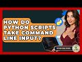 How Do Python Scripts Take Command Line Input? - Python Code School