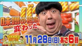 全国から厳選！極上の甘〜い味噌グルメ!!『早起きせっかくグルメ!!』11/28(日) あさ6時【TBS】