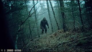 Wildlife Biologist's Trail Camera Captured WEEKS of BIGFOOT Activity — Nobody Believed Him