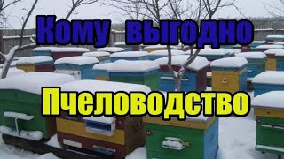 Пчёлы- это очень дорого! Кто пиарит пчеловодство! Сто раз подумай прежде чем заняться пчёлами!