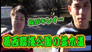 コンマニセンチの今日も全力！６１３　葛西臨海公園の並木道　Dookie comedian Commanicenti!