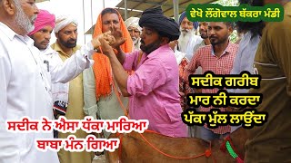 ਮਿੱਠੂ ਸਦੀਕ ਦੇ ਸੌਦੇ ਵੇਖੋ - Goat farming - Live sauda @ILTILANATV