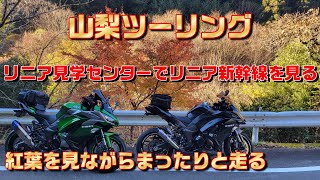 [Ninja1000】紅葉を見ながらまったり山梨ツーリングリニア見学センターで時速500ｋのリニア新幹線を見学一瞬で通過　山中湖　パノラマ台に行