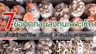 7 ข้อคิดก่อนลงทุนเพาะเห็ดขาย