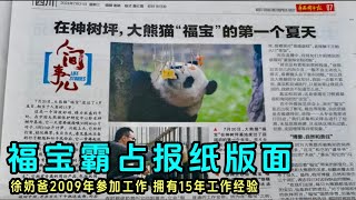 福宝又上报纸了，整个版面写满“徐福记”的故事，奶爸很感谢福宝#panda #푸바오 #fubao