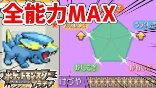 【ポケモンDPPt】1人でもコンディションMAXのポフィンは作れる