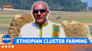 ETHIOPIAN CLUSTER FARMING