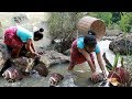 Yummy Cooking Snail  Recipe –  Find snail in River–My food Daily II