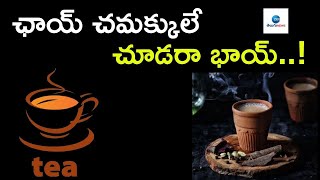 అంతర్జాతీయ టీ దినోత్సవం | International Tea Day | ZEE Telugu News