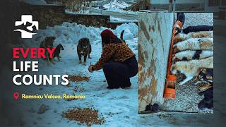 Every Life Counts in Ramnicu Valcea, Romania