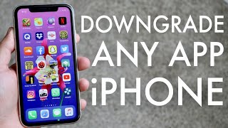 How To Downgrade ANY App On Your iPhone! (2020)