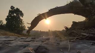 #village #river  #wadrafnagar #hiddenplaces  # ll Northern Chhattisgarh ll Balrampur @Pahuna90