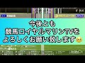 【北九州記念2024】【dカメラ】ウイポ枠確定前シミュレーション ジャスパークローネ ピューロマジック エイシンスポッター ペアポルックス ナナオ 2795