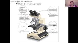 Microscope Calibration