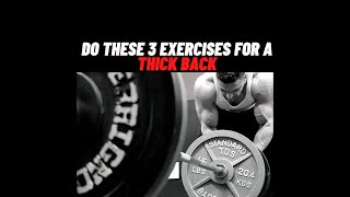 Do These 3 Exercises For a Thick Back!